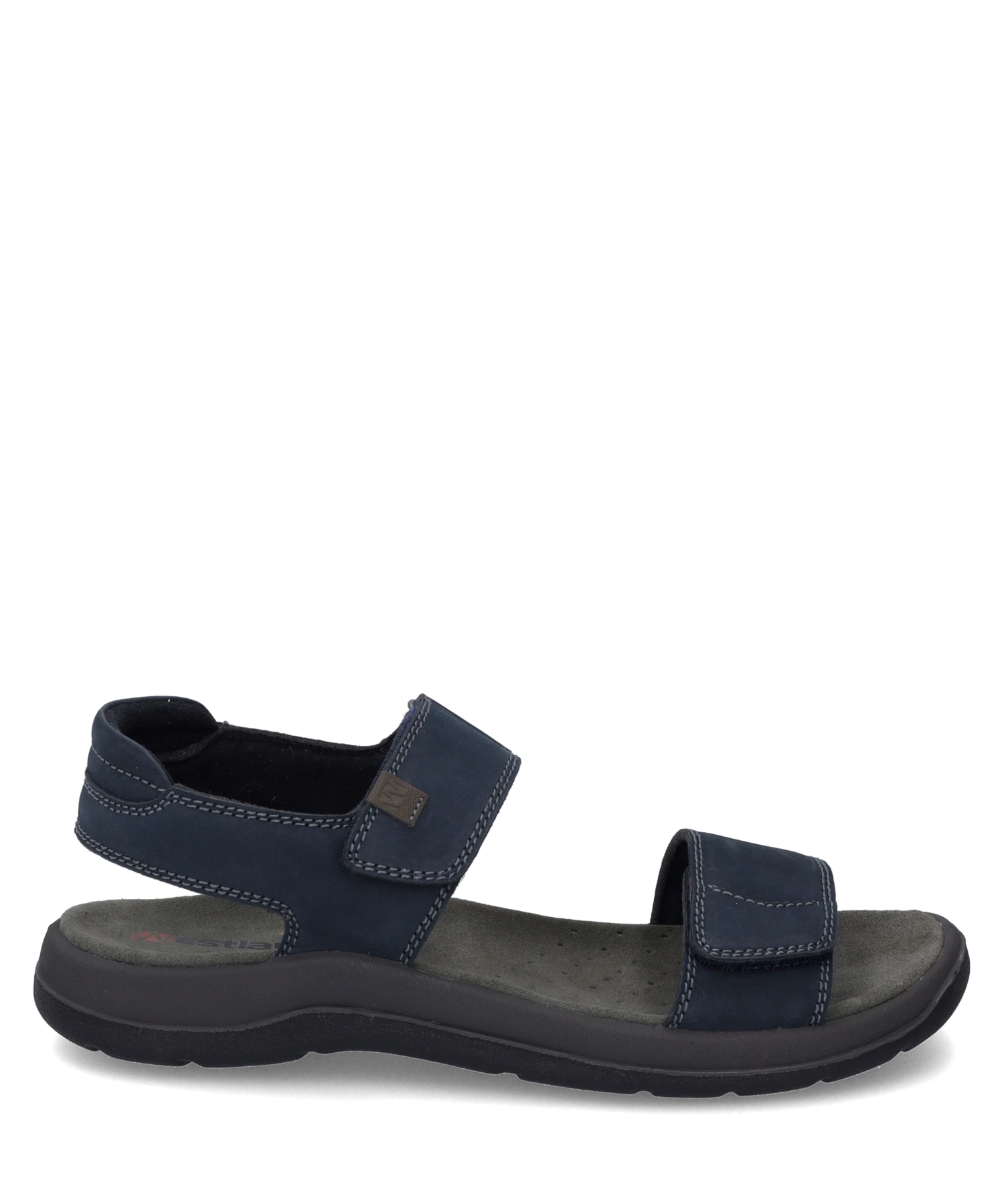 Westland Alsace 02 1 Westland Alsace 02