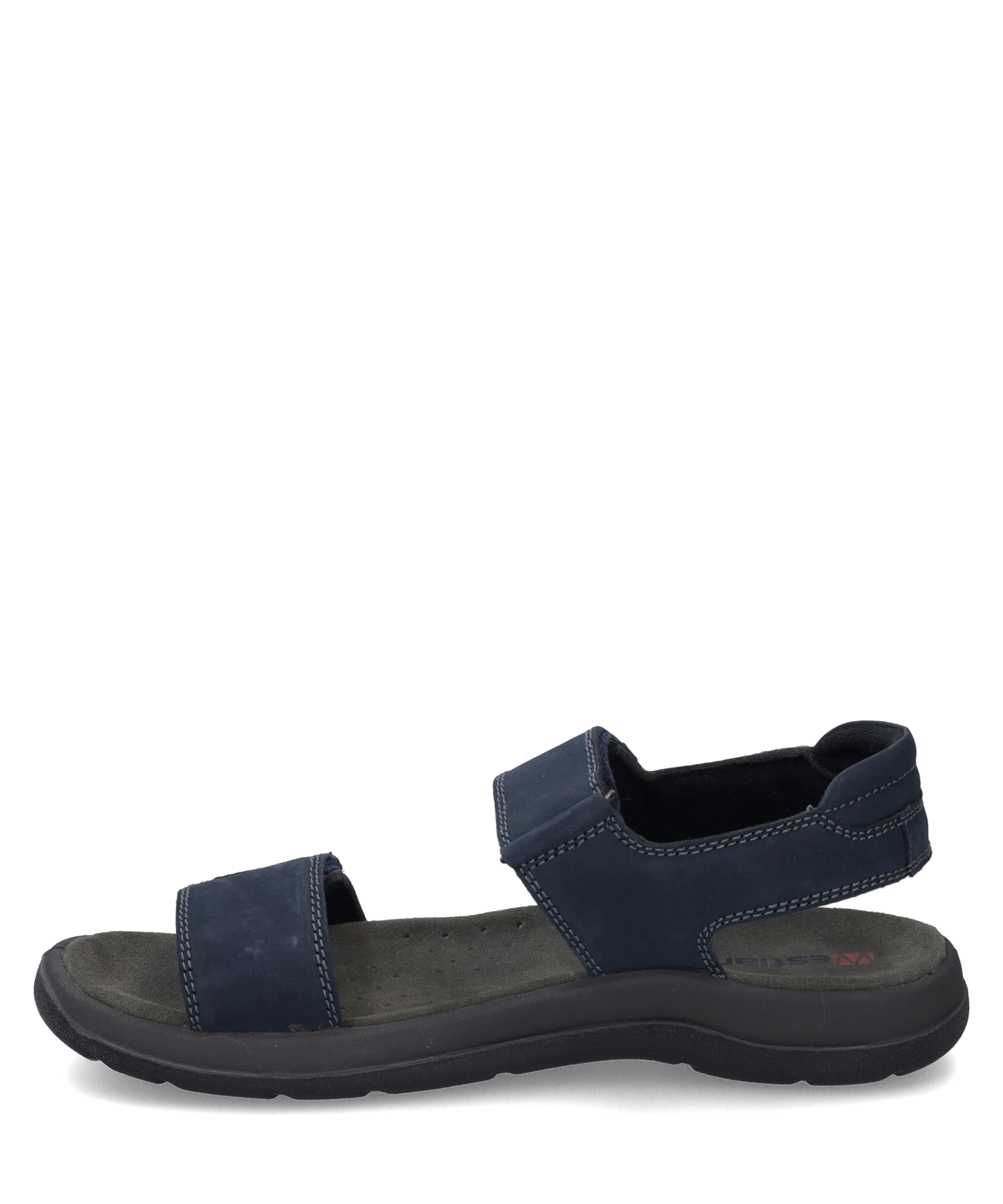 Westland Alsace 02 3 Westland Alsace 02 – Bild 3