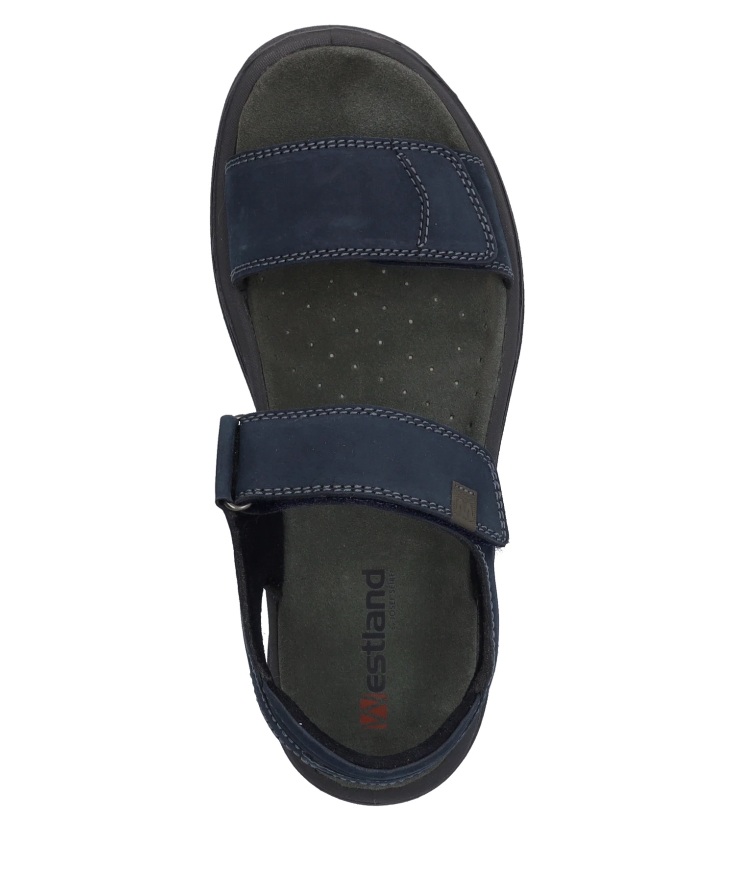 Westland Alsace 02 7 Westland Alsace 02 – Bild 7