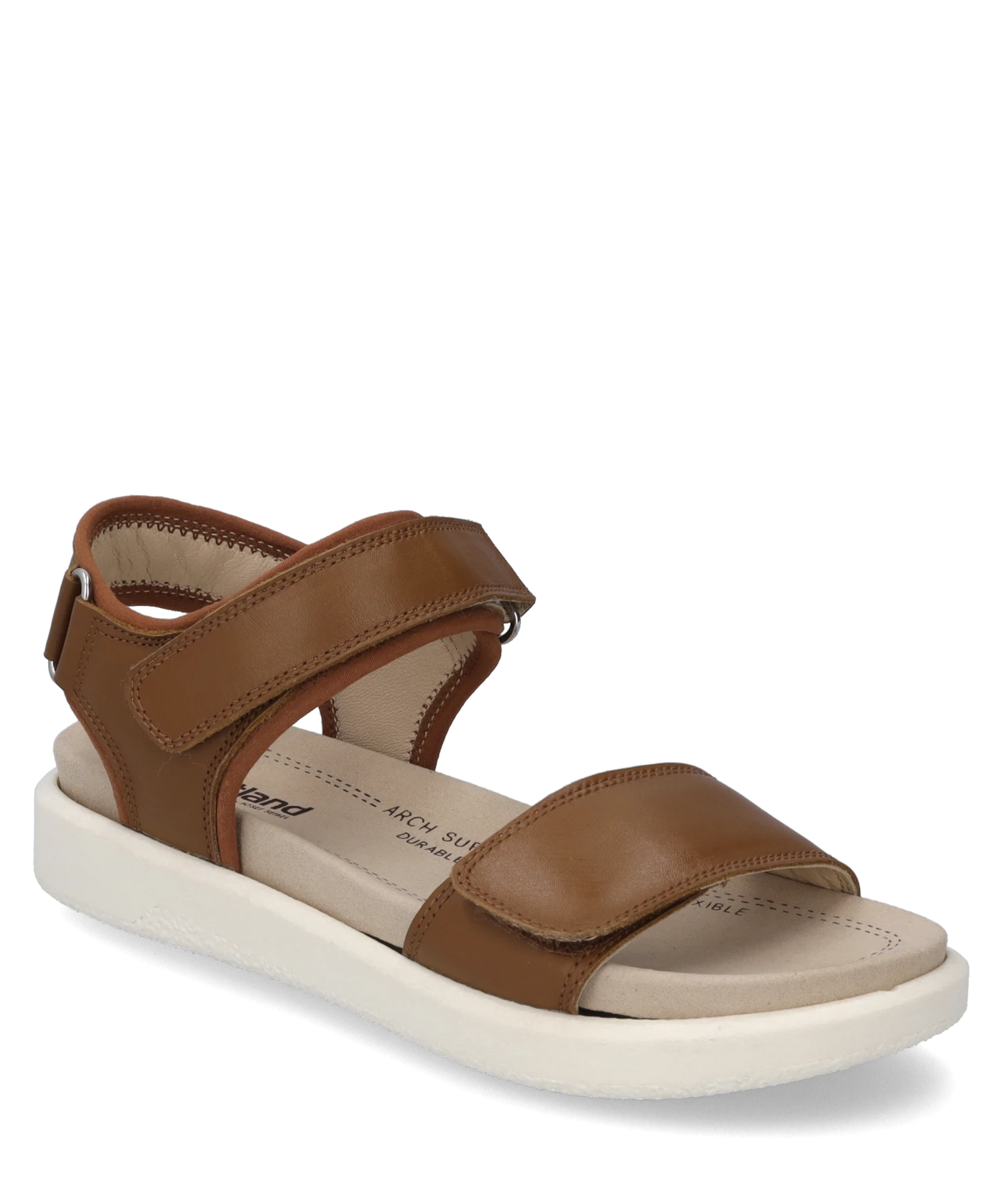 Westland Albi 01 2 Westland Albi 01 – Bild 2