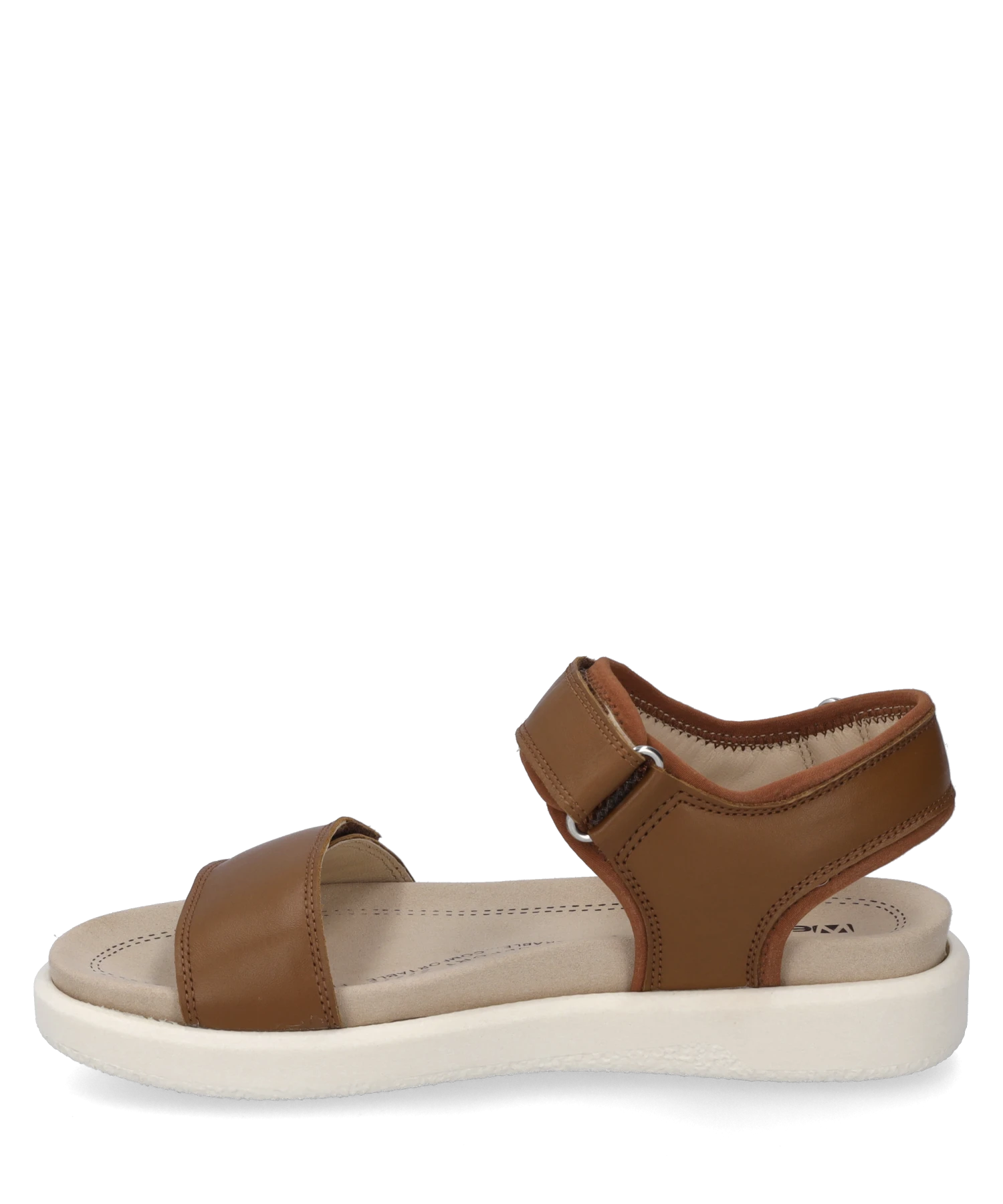 Westland Albi 01 3 Westland Albi 01 – Bild 3