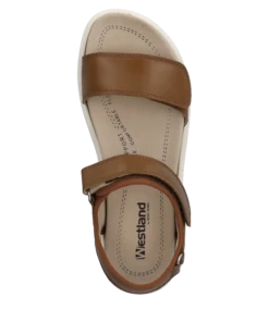 Westland Albi 01 13 Westland Albi 01 -Modern Schuh Verkauf load id 360959undkey xoxoundpreset 28und