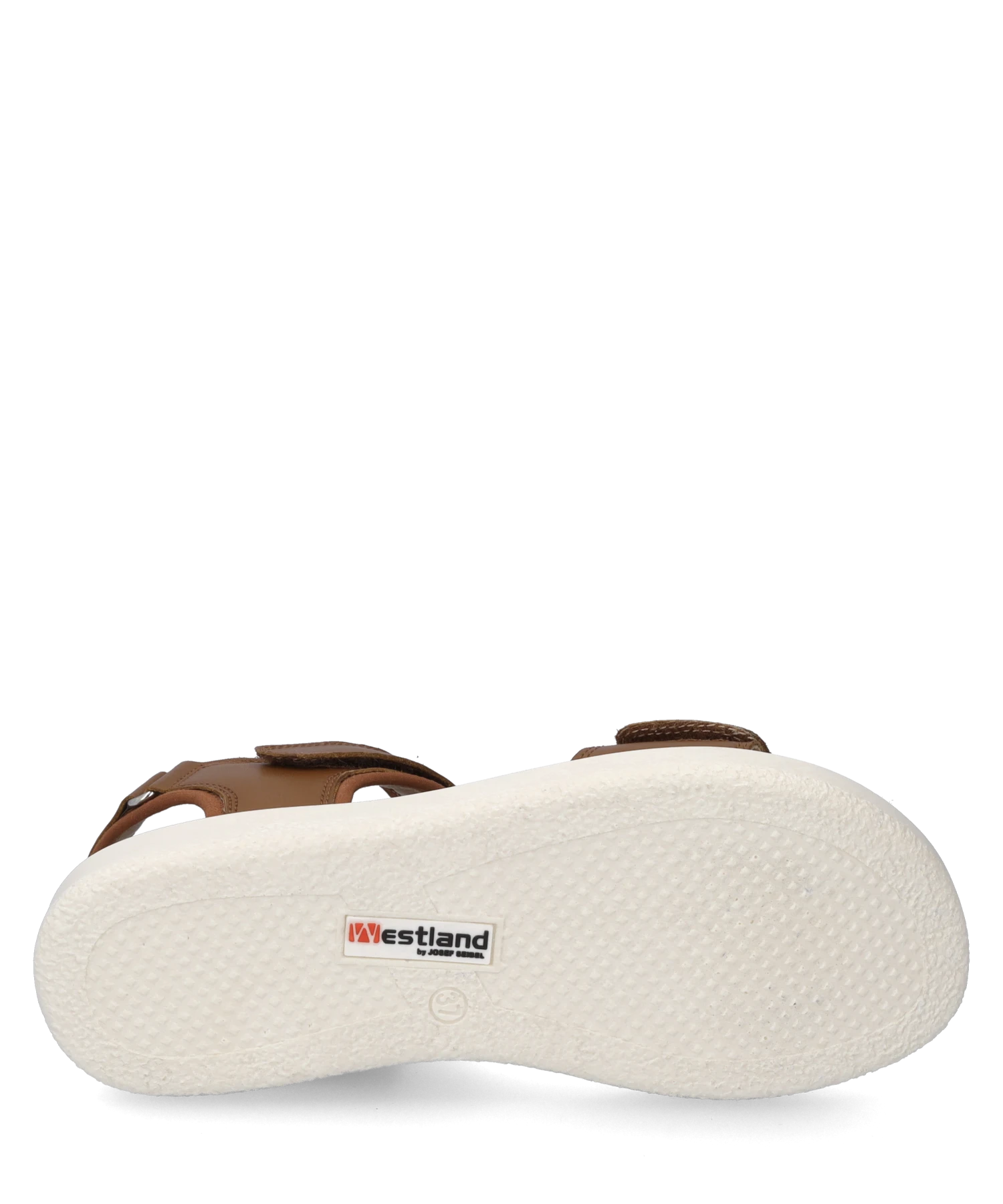 Westland Albi 01 6 Westland Albi 01 – Bild 6